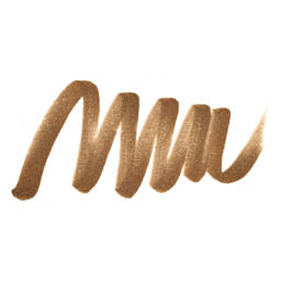 ShinHan Touch Twin Brush Marker - Chocolate swatch