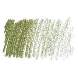 Derwent Pastel Pencil - Dark Olive swatch