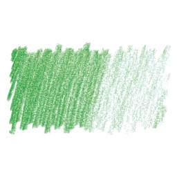 Derwent Pastel Pencil - Pea Green swatch