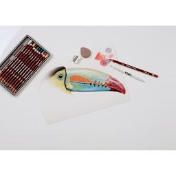 Derwent Pastel Pencils being used to draw a bird.