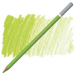 Stabilo CarbOthello Pastel Pencil - Leaf Green Middle pencil and swatch