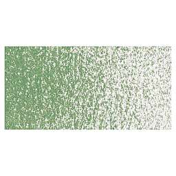 Sakura Cray-Pas Expressionist Oil Pastel - Green Gray swatch