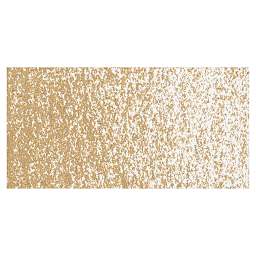 Sakura Cray-Pas Expressionist Oil Pastel - Olive Brown swatch