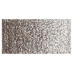 Sakura Cray-Pas Expressionist Oil Pastel - Sepia swatch