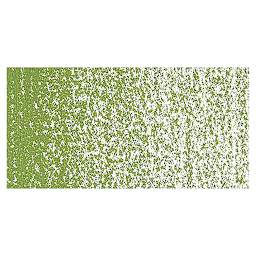 Holbein Artists' Oil Pastel - Oxide of Olive 1 swatch