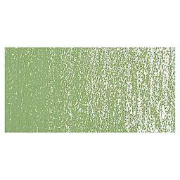 Rembrandt Soft Pastel - Permanent Green Light 618.3 swatch