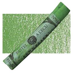 Sennelier Soft Pastel - Forest Green 914 pastel and swatch