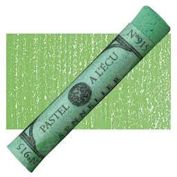 Sennelier Soft Pastel - Forest Green 915 pastel and swatch