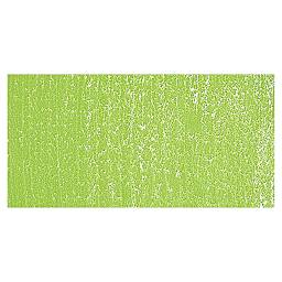 Sennelier Soft Pastel - Forest Green 916 swatch