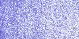 Sennelier Oil Pastel - Ultramarine Blue swatch