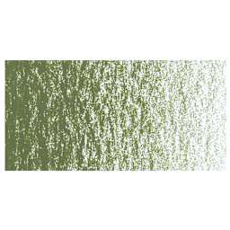 Caran d'Ache Neocolor II Aquarelle Artists' Pastel - Olive swatch