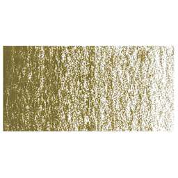 Caran d'Ache Neocolor II Aquarelle Artists' Pastel - Olive Brown swatch