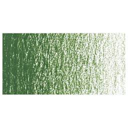 Caran d'Ache Neocolor II Aquarelle Artists' Pastel - Moss Green swatch