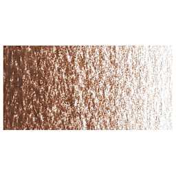 Caran d'Ache Neocolor II Aquarelle Artists' Pastel  - Brown swatch