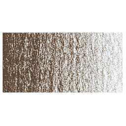 Caran d'Ache Neocolor II Aquarelle Artists' Pastel - Vandycke Brown swatch