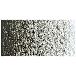 Caran d'Ache Neocolor II Aquarelle Artists' Pastel - Raw Umber swatch