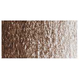 Caran d'Ache Neocolor II Aquarelle Artists' Pastel - Toledo Brown swatch