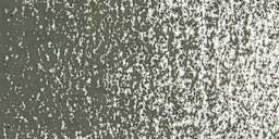 Caran d'Ache Neopastel - Olive Black swatch