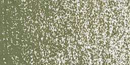 Caran d'Ache Neopastel - Olive Gray swatch