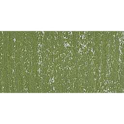 Townsend Artists' Soft Form Pastel - Sap Green 116L swatch