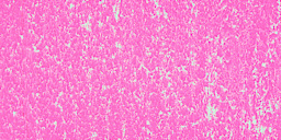 Townsend Artists' Soft Form Pastel - Fluorescent Pink Pink swatch