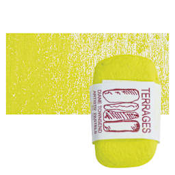 Townsend Terrages Pastel - Yellow Green 160 pastel and swatch