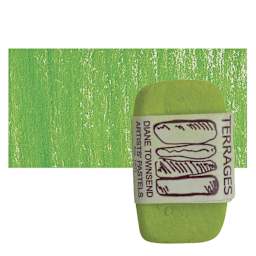 Townsend Terrages Pastel - Permanent Green 162 pastel and swatch