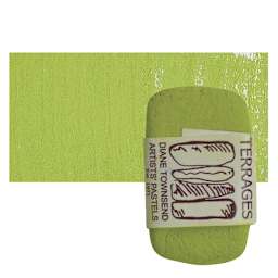 Townsend Terrages Pastel - Permanent Green 163 pastel and swatch