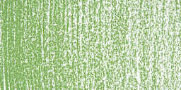 Art Spectrum Artists' Soft Pastel - Grass Green 573N swatch