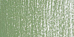 Art Spectrum Artists' Soft Pastel - Green Gray 574P swatch