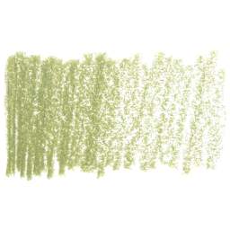 Derwent Drawing Pencil - Green Earth swatch