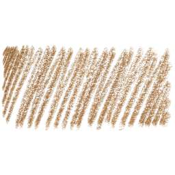 Derwent Drawing Pencil - Warm Earth swatch