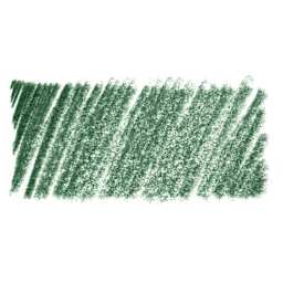 Tinted Charcoal Pencils Forest Pine