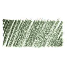 Tinted Charcoal Pencils Dark Moss