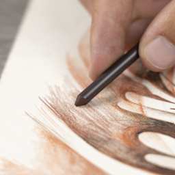 Hand using Cretacolor Sepia Dark Lead