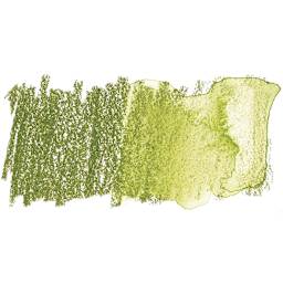 Derwent Watercolor Pencil - Olive Green swatch