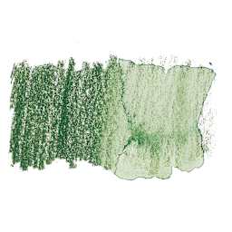 Derwent Watercolor Pencil - Cedar Green swatch