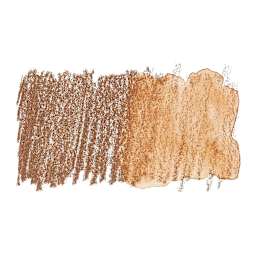 Derwent Watercolor Pencil - Copper Beech swatch