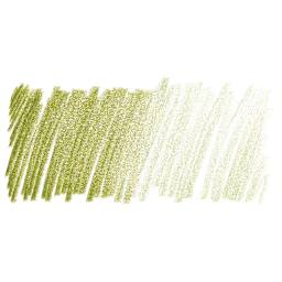 Derwent Studio Colored Pencil - Olive Green swatch