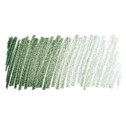 Derwent Studio Colored Pencil - Cedar Green swatch