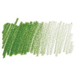 Prismacolor Premier Colored Pencil - Olive Green swatch