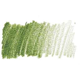 Prismacolor Premier Colored Pencil - Kelp Green swatch