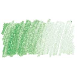 Prismacolor Premier Colored Pencil - True Green swatch