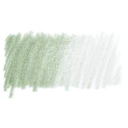 Prismacolor Premier Colored Pencil - Celadon Green swatch