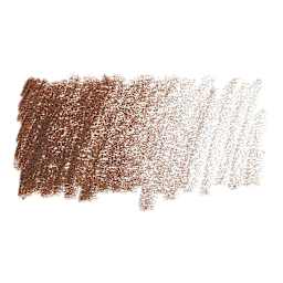 Prismacolor Premier Colored Pencil - Chocolate swatch