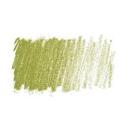 Conté à Paris Pastel Pencil - Green Gray swatch