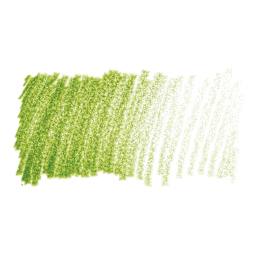 Caran d'Ache Supracolor Soft Aquarelle Pencil - Moss Green swatch