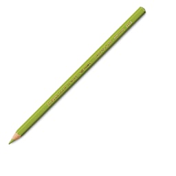 Caran d'Ache Supracolor Soft Aquarelle Pencil - Khaki Green