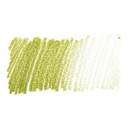 Caran d'Ache Supracolor Soft Aquarelle Pencil - Khaki Green swatch