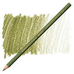 Caran d'Ache Supracolor Soft Aquarelle Pencil - Olive Gray pencil and swatch